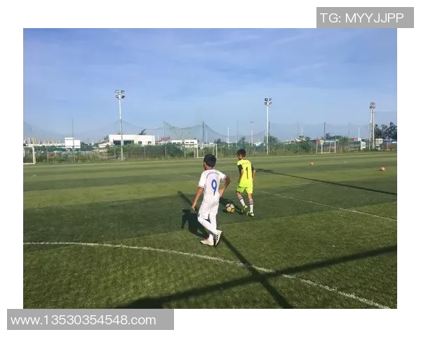 杨伟独家解析足球技巧与战术分享，助你提升球场表现与理解